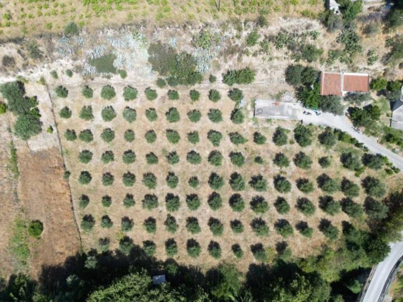 Avgeniki Kreta, Avgeniki: Wohngebäude und Rohbau auf großem Grundstück zu verkaufen Haus kaufen